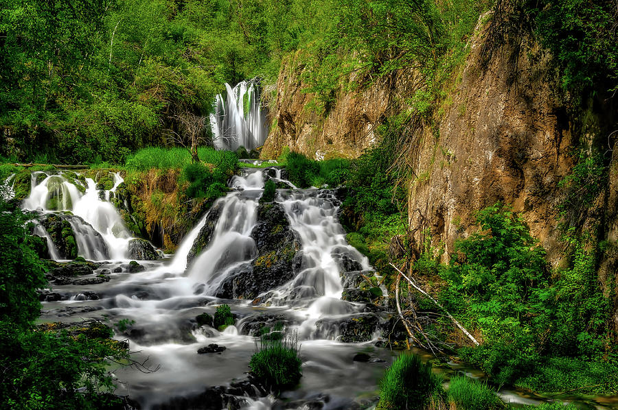 waterfall landscape scene with green trees and ferns